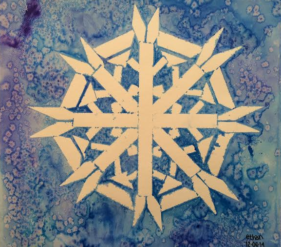Snowflake | anp0071