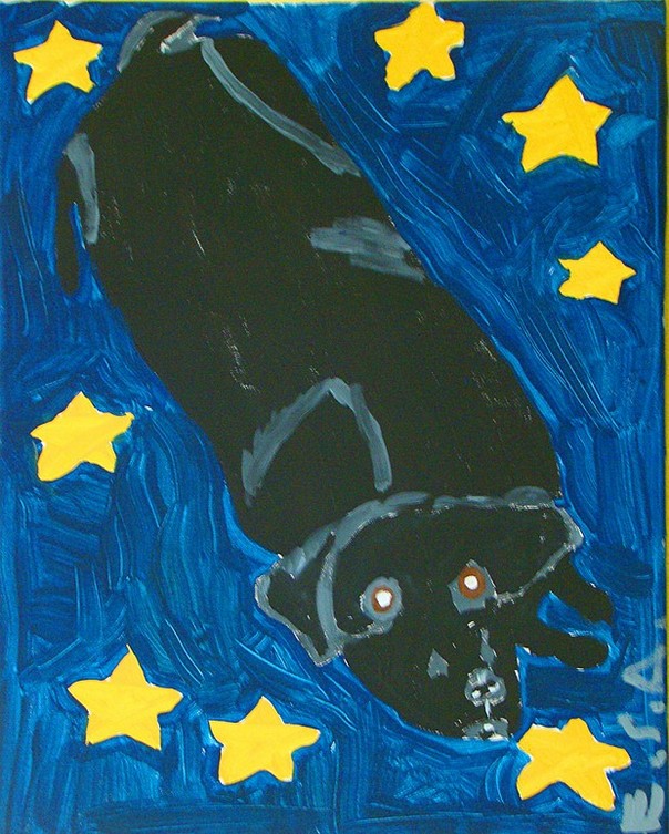 Black Labrador in Space | anp0019