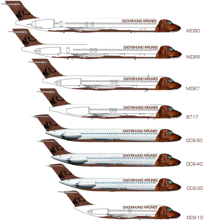 Dachshund Airlines | Fleet