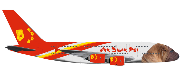 Air Shar Pei | Right