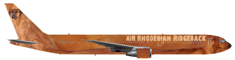 Air Rhodesian Ridgeback | Right