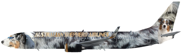 Australian Shepherd Airlines | Left