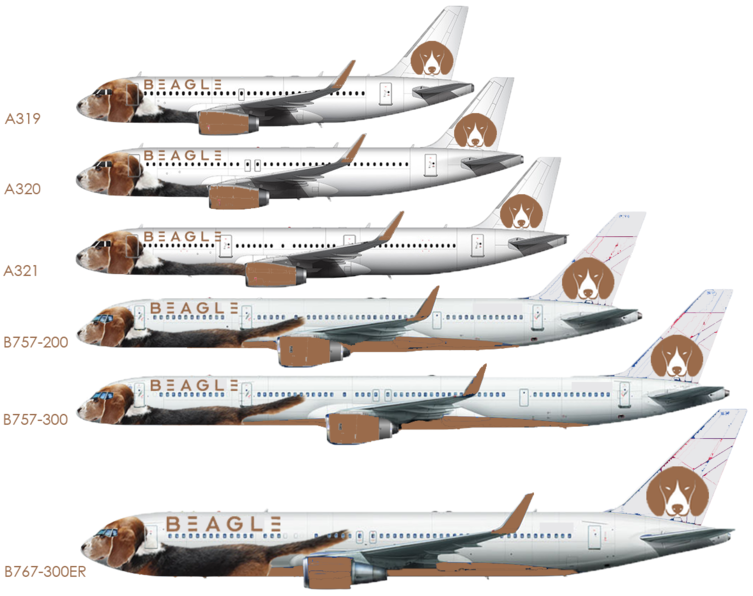 Beagle Fleet | Airlines