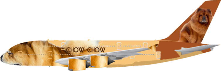 Chow Chow Airlines | Left