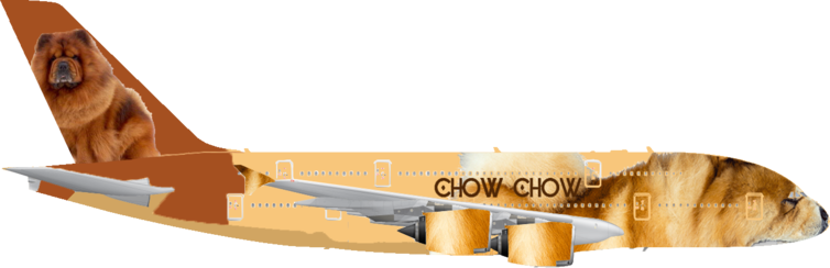 Chow Chow Airlines | Right