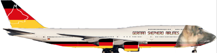 German Shepherd | Airlines
