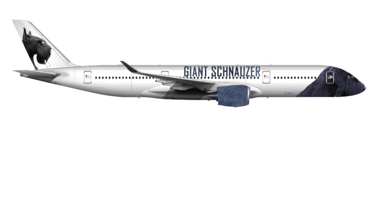 Air Giant Schnauzer | Right
