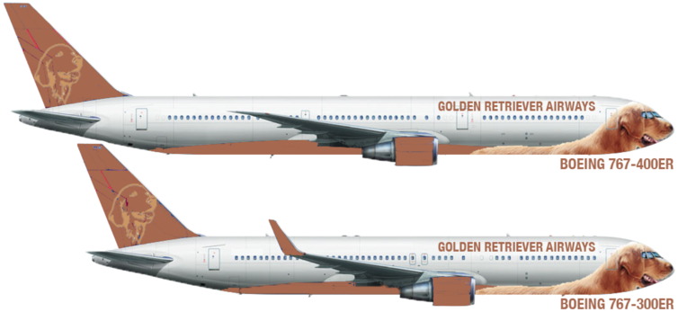 Golden Retriever Airways | Fleet