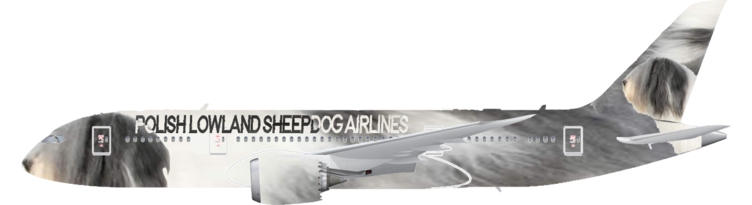 Polish Lowland Sheepdog Airlines | Left