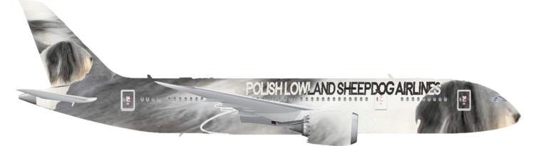 Polish Lowland Sheepdog Airlines | Right