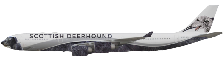 Air Scottish Deerhound (new) | Left