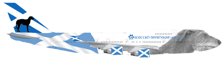 Scottish Deerhound | Airlines