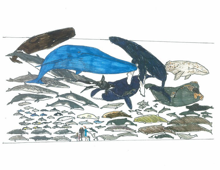 Hall of Cetaceans concept #2 at Megaquarium | (In color)