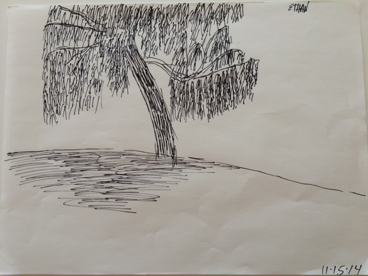 Last week in the park | Sharpie sketch of a Tree anp0070