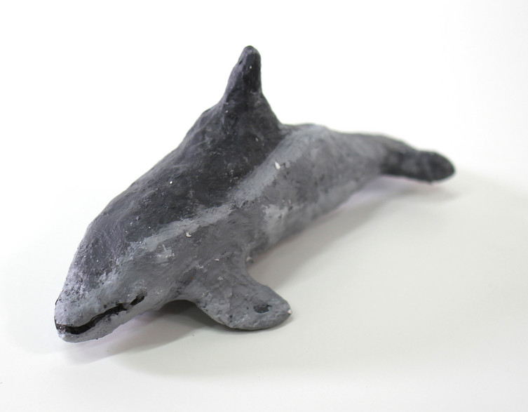 Common Bottlenose Dolphin | sea0005