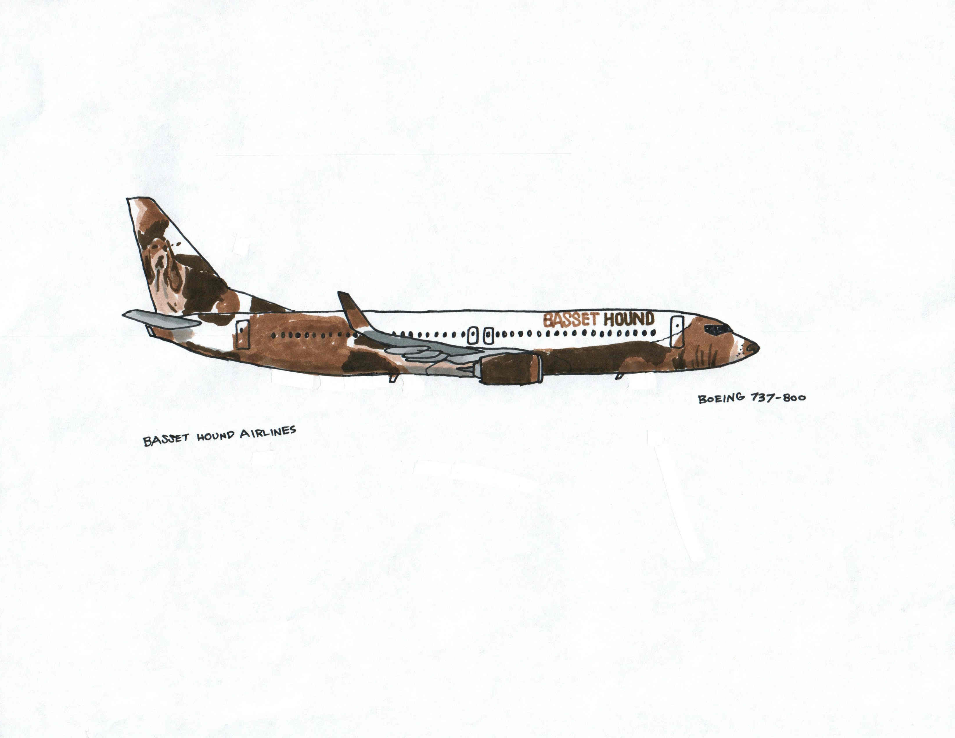 Bassett Hound Airlines | Boeing 737-800