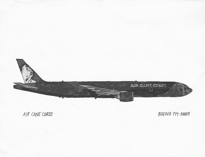 Air Cane Corso | Boeing 777-300ER