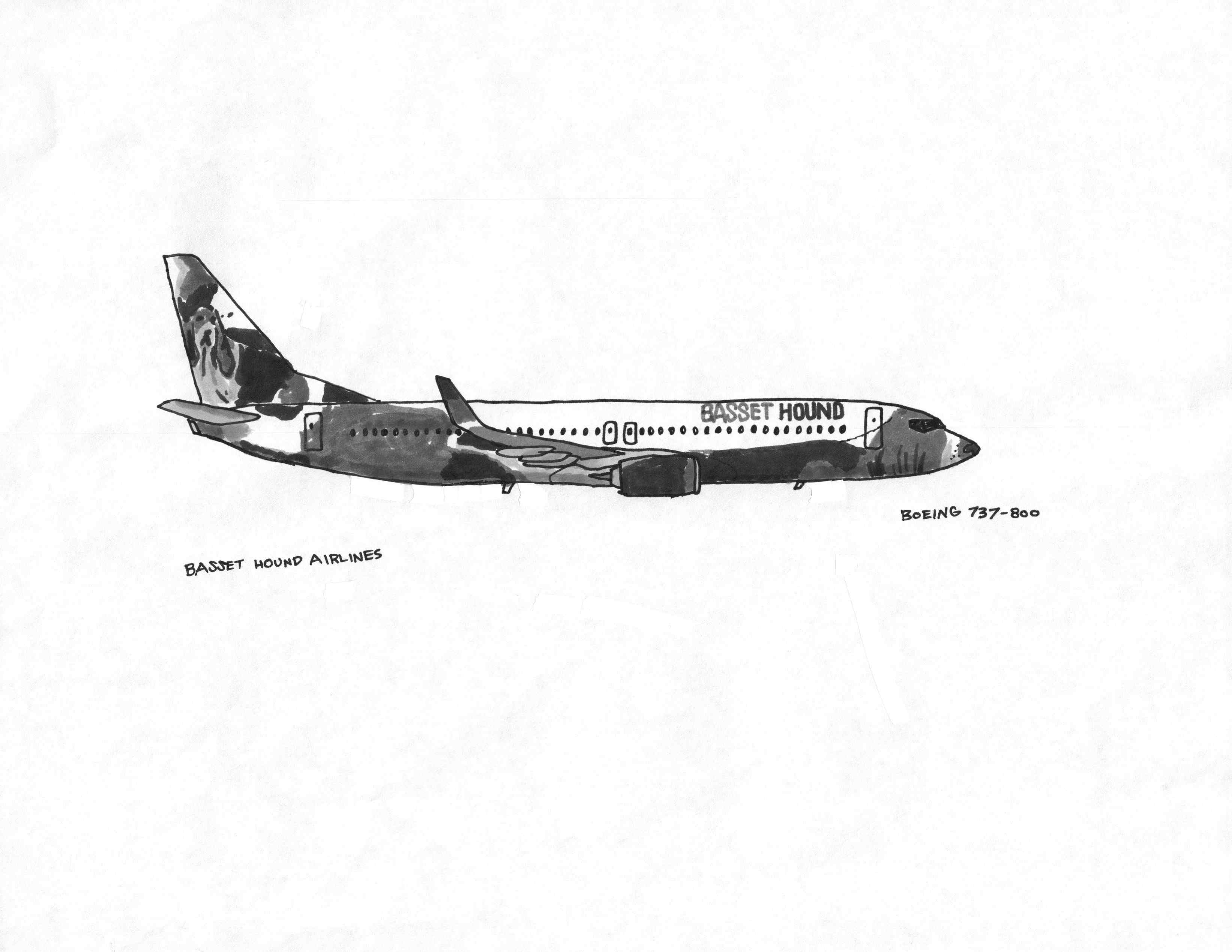 Bassett Hound Airlines | Boeing 737-800