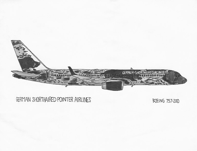 German Shorthaired Pointer Airlines | Boeing 757-200