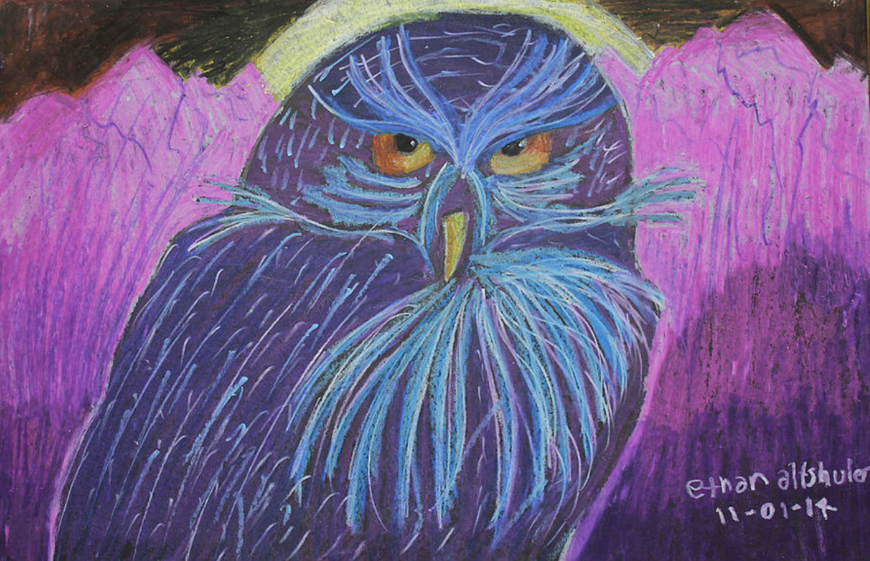 Drawing | Owl